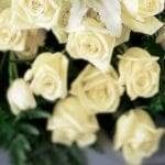 Sacred Heart Catholic Church of Pinellas Park